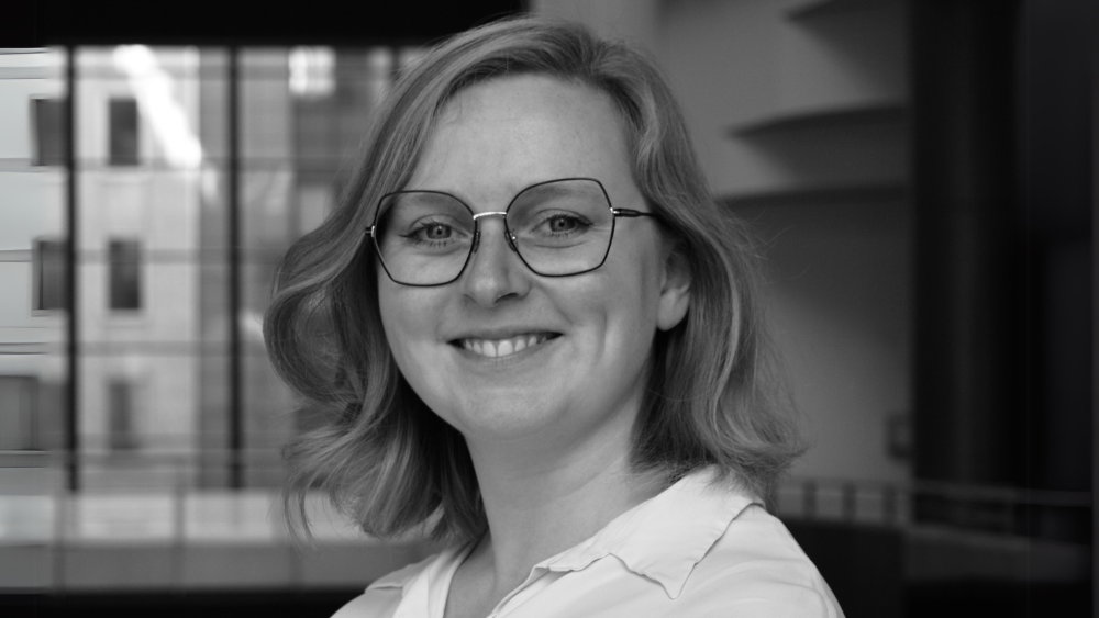 Billede til den relaterede nyhed Slyngelstuer er ikke for sjov!